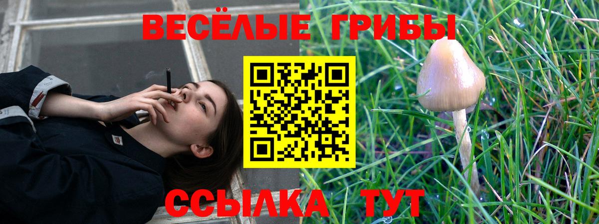 Галлюциногенные грибы ЛСД Кубинка