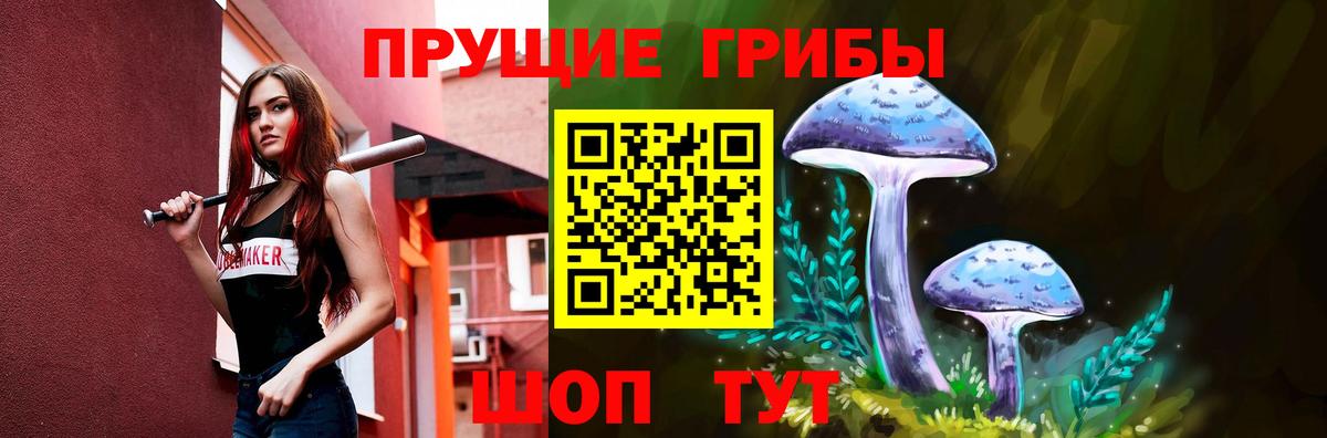 Псилоцибиновые грибы GOLDEN TEACHER  Вход с VPN  Галлюциногенные грибы MAGIC MUSHROOMS  Кубинка 